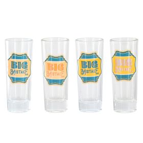 Wanda June Home by Miranda Lambert 4 Piece 2.2 Ounce Shot Glass Set in Teal